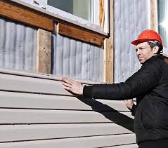 Best Historical Building Siding Restoration  in Woodfin, NC